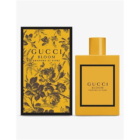 enzo gucci bloom|gucci bloom accord.